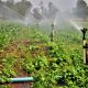 Governo Federal reconhece novo polo de agricultura irrigada no RN | Foto: Acácio Pinheiro/Agência Brasília