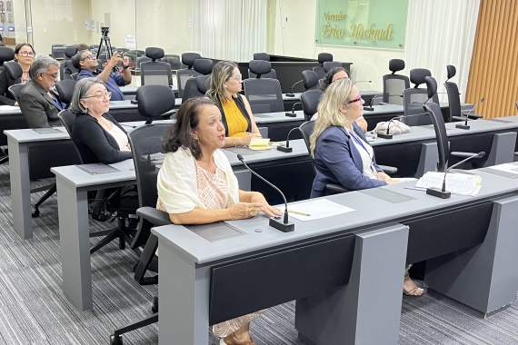 Secretaria de Educação discute a nova matriz curricular em reunião na Câmara Municipal de Natal