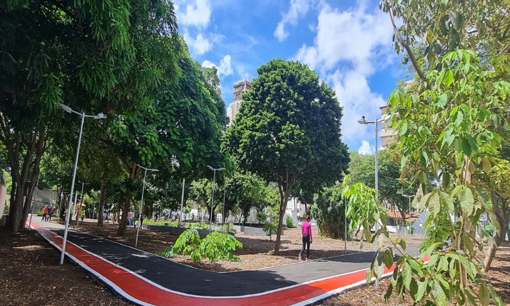 Bosque das Mangueiras realiza gratuitamente atividades educativas e ambientais nesta sexta (6)