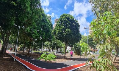 Bosque das Mangueiras realiza gratuitamente atividades educativas e ambientais nesta sexta (6)