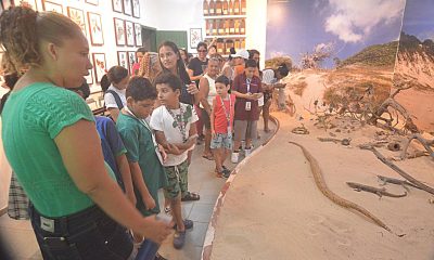 Projeto "Sábado no Parque" promove atividades lúdicas para estudantes com deficiência