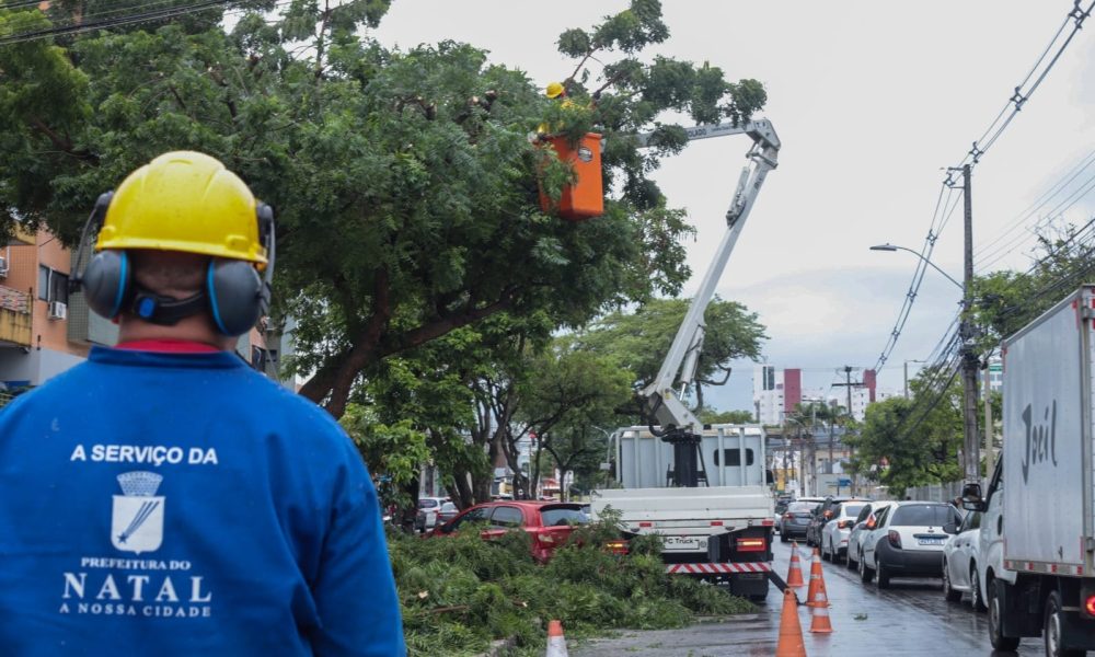 Prefeitura inicia nova etapa de podas de árvores em todas as zonas da capital